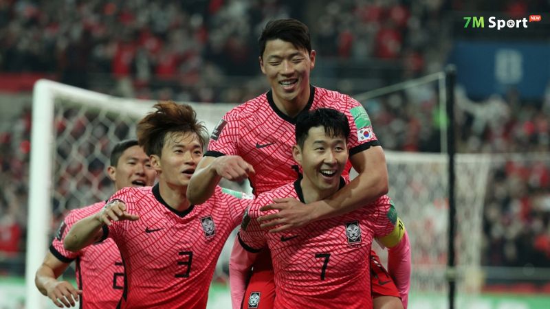 Danh hiệu đạt được ở cấp châu lục