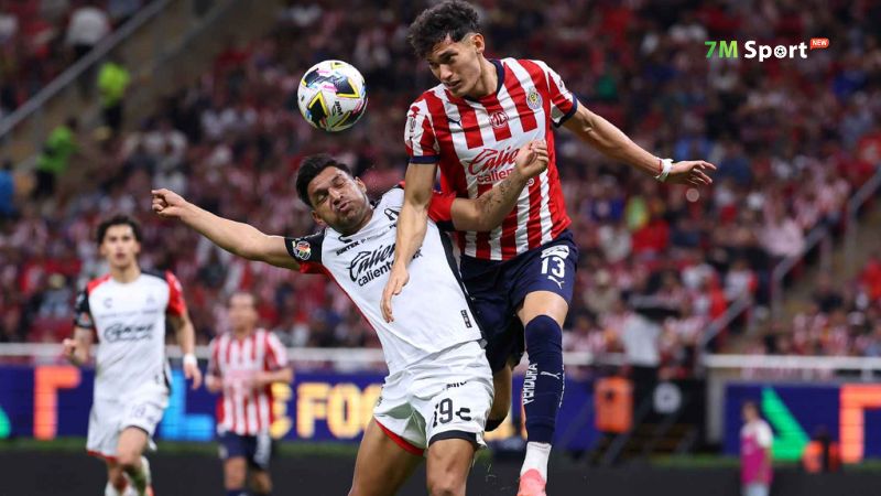 Giải đấu được chia làm 2 giai đoạn độc lập