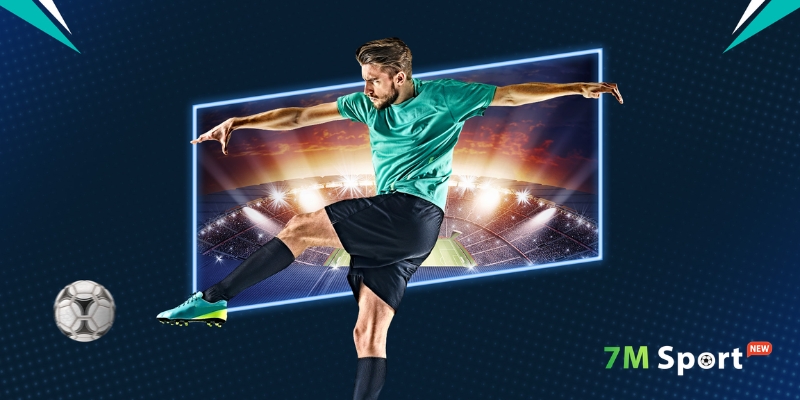 Bào cỏ được chia thành nhiều loại